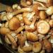 How to pickle honey mushrooms for the winter in jars
